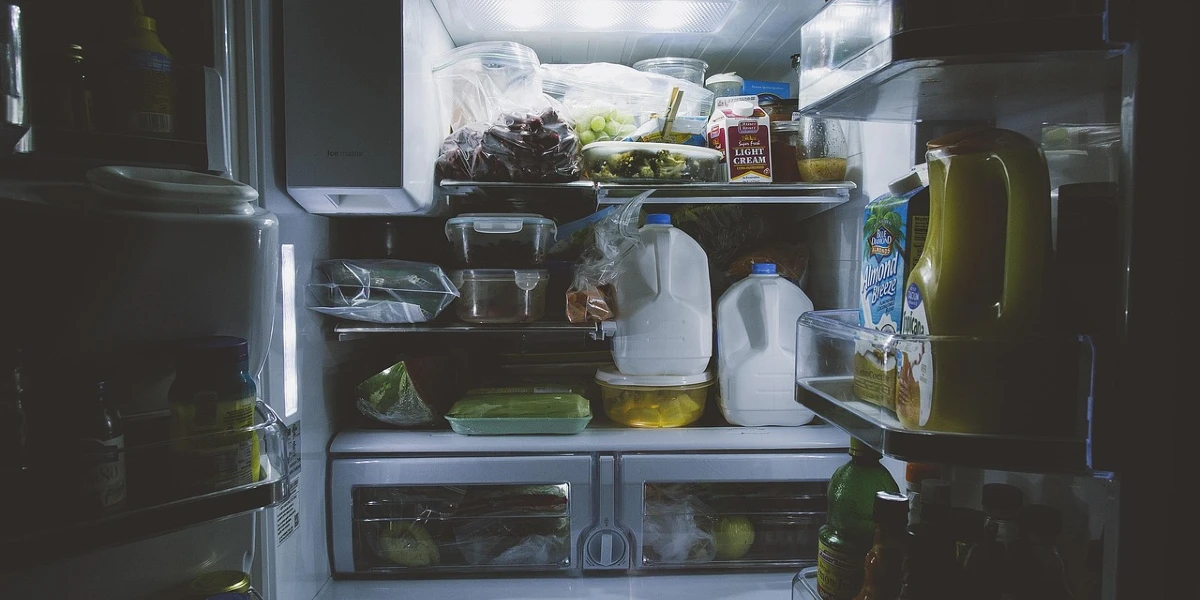 Appliance Repair Refrigerator