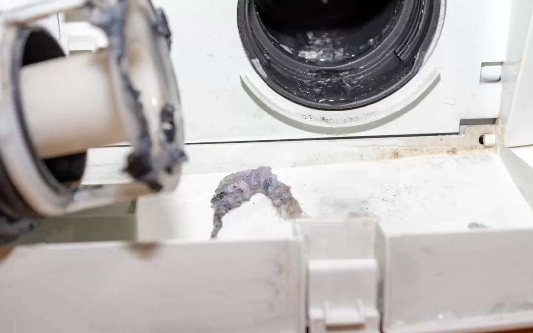 Samsung Dryer Not Heating? Troubleshooting Steps and Common Fixes Explained